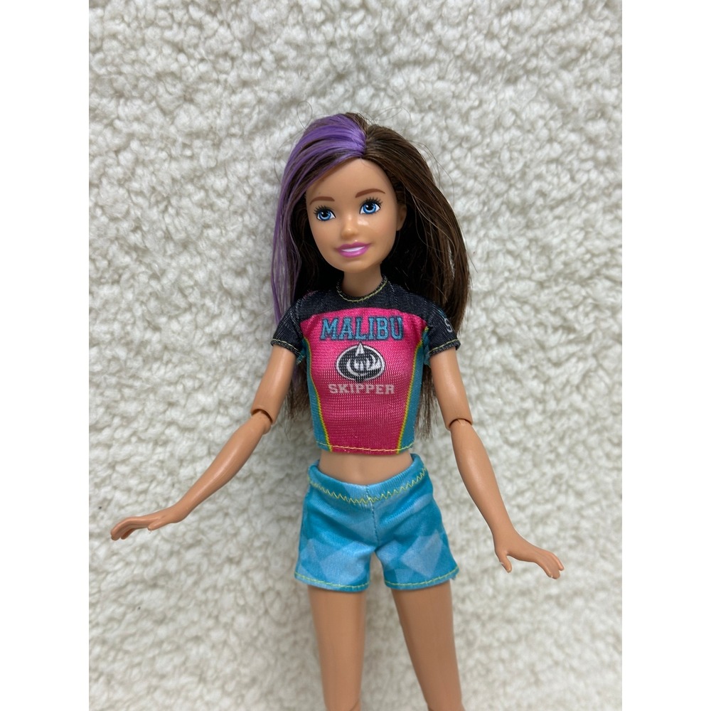 Modern Barbie Skipper Doll Malibu Surf  Purple Hair Articulated Toy